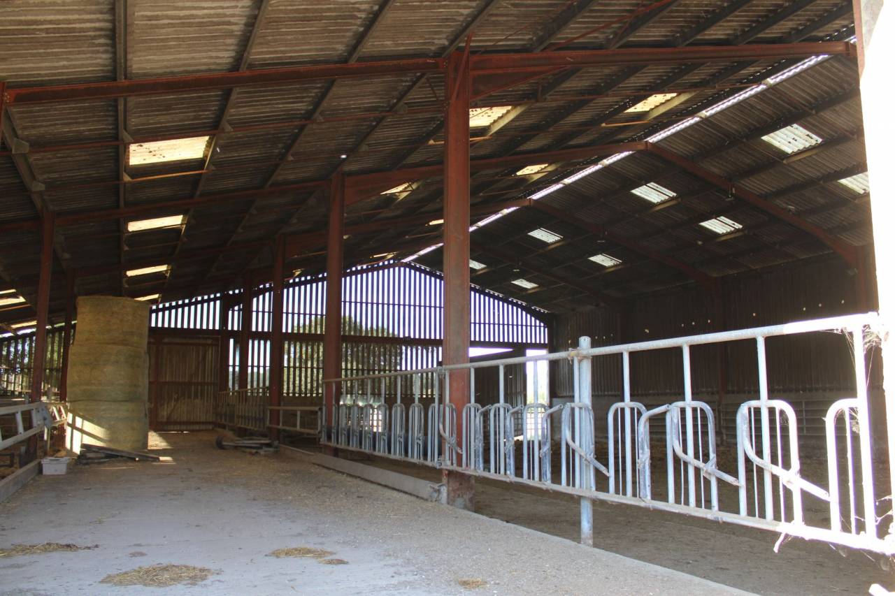 PROPRIETE DE 15 HECTARES AVEC MAISON TARN ET GARONNE