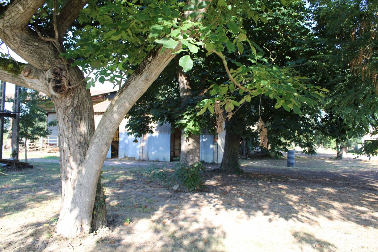 PROPRIETE DE 15 HECTARES AVEC MAISON TARN ET GARONNE