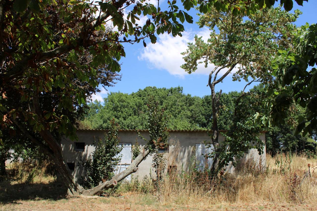 PROPRIETE DE 20 HECTARES DANS LA HAUTE  GARONNE