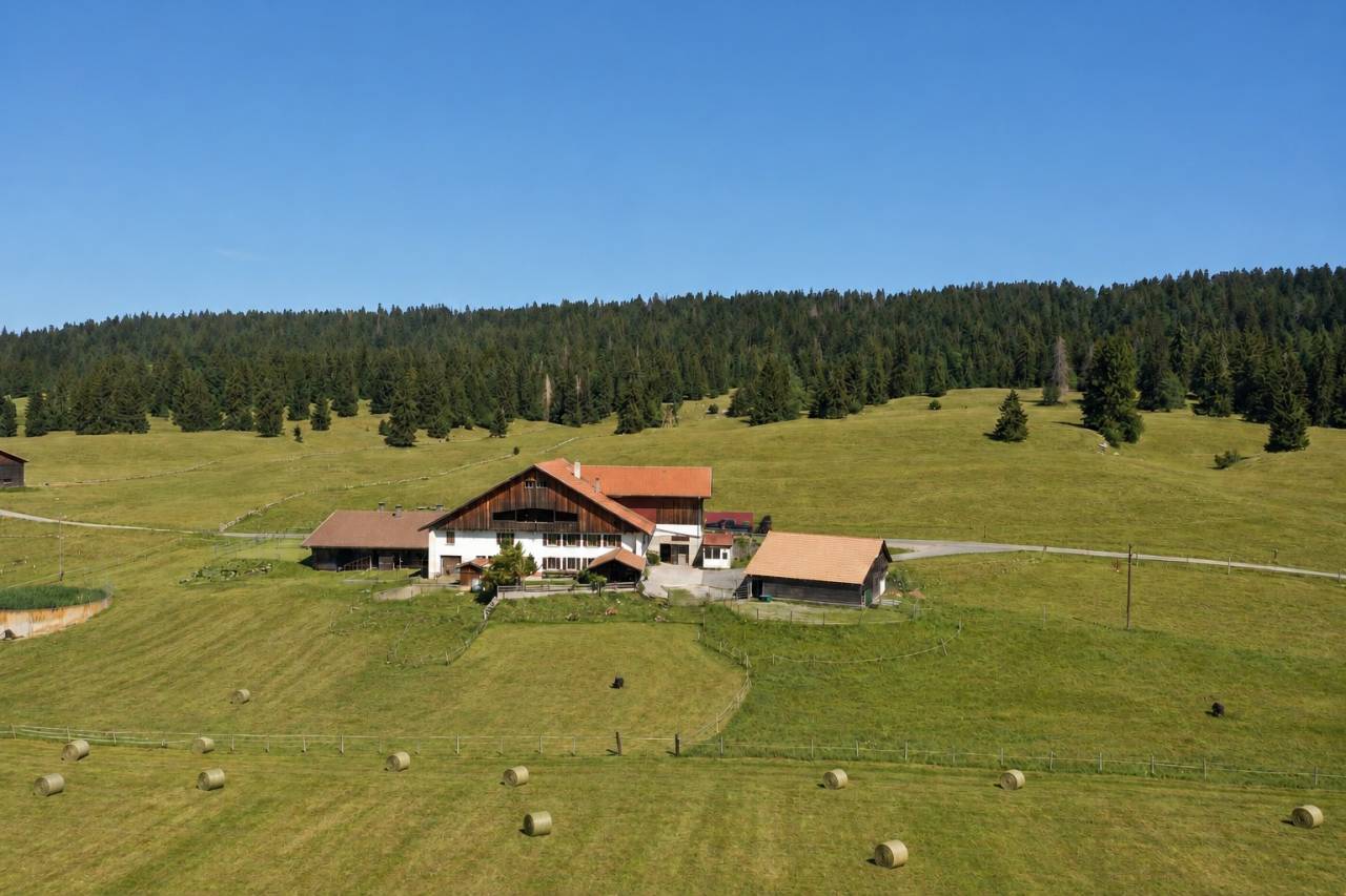 Ferme &eacute;questre avec stabulations