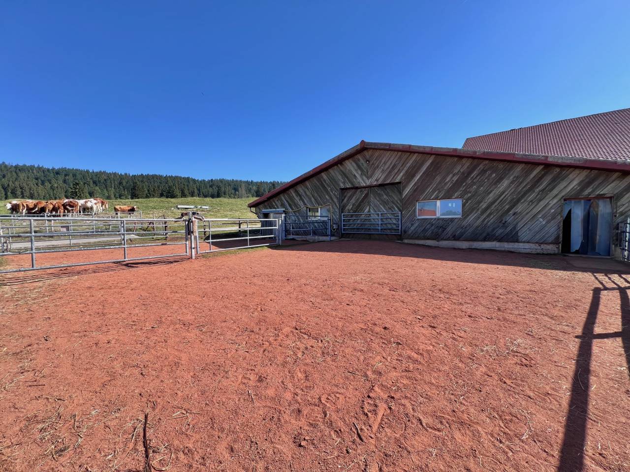 Ferme &eacute;questre avec stabulations