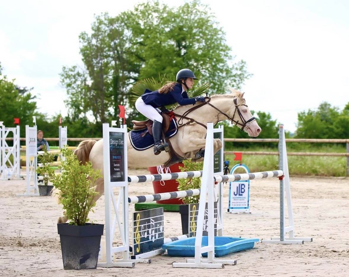 Poney FEI &agrave; vendre