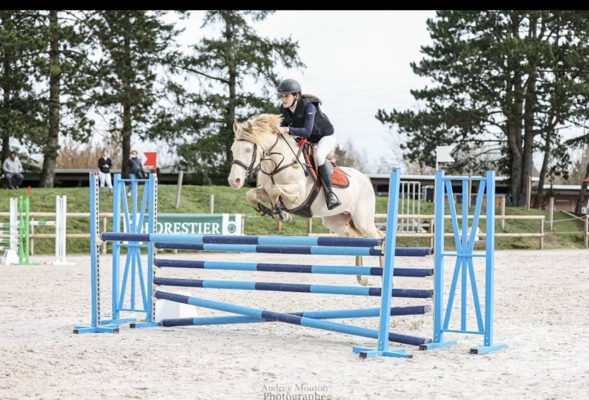 Poney FEI &agrave; vendre