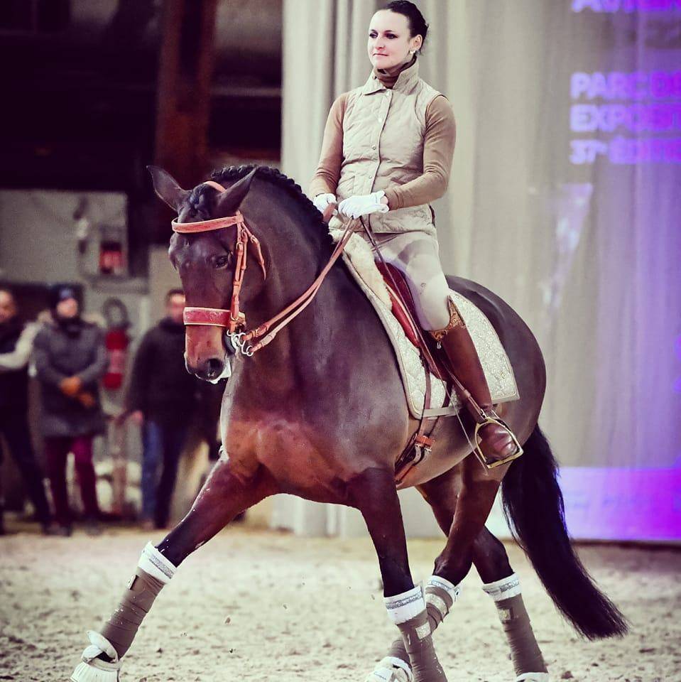 JUMENT LUSITANIENNE GP & SHOW NTERNATIONAL