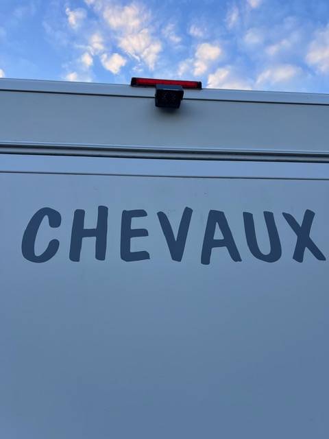 Camion OPEL MOVANO 125 CDTI CLIM 2 Chevaux 119 000Kms