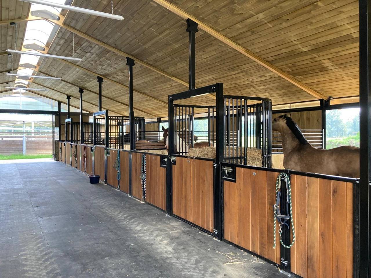 Au pair avec les chevaux / Au Pair mit Pferden