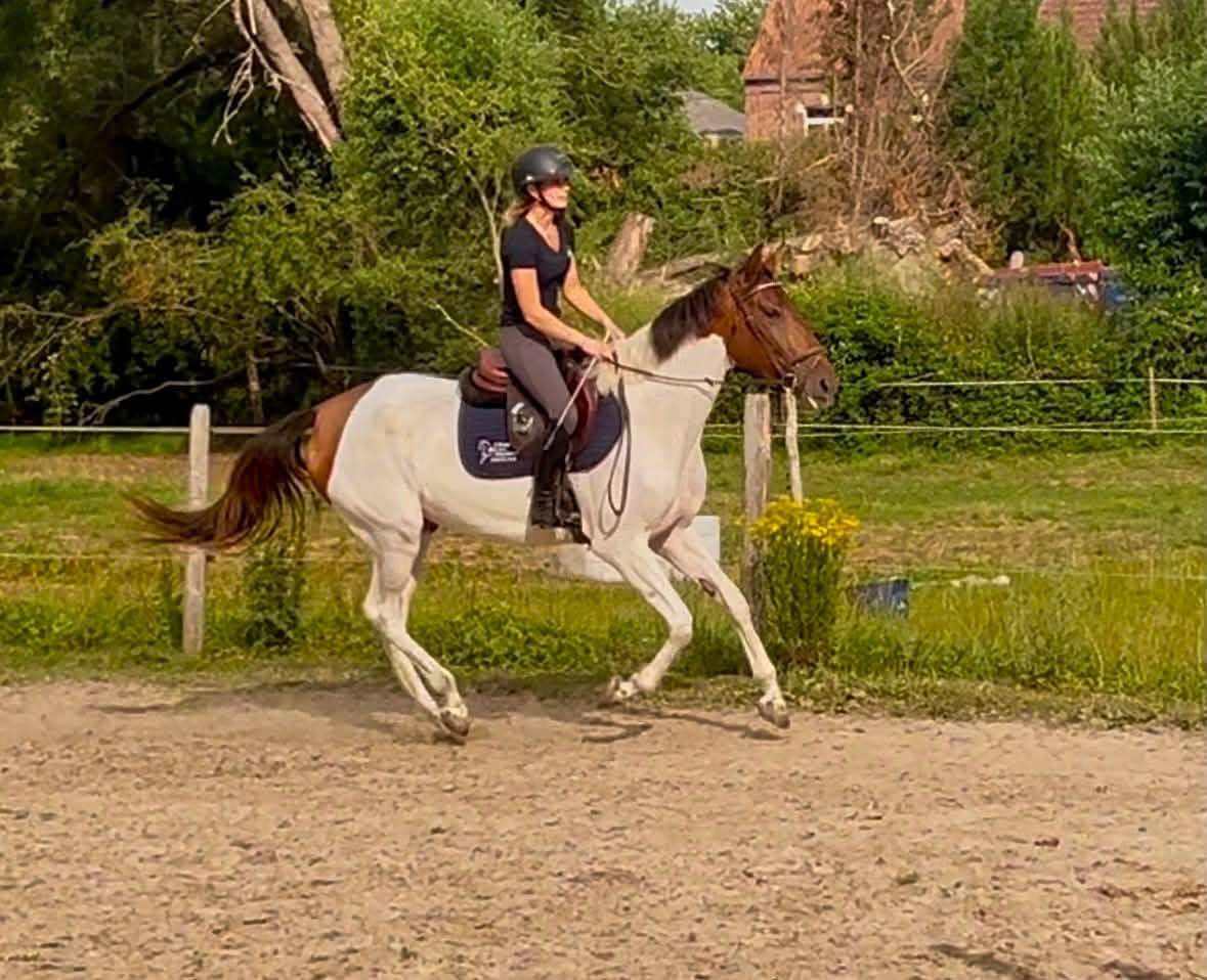 Urkanna Hapiness, Magnifique jument de 5 ans 