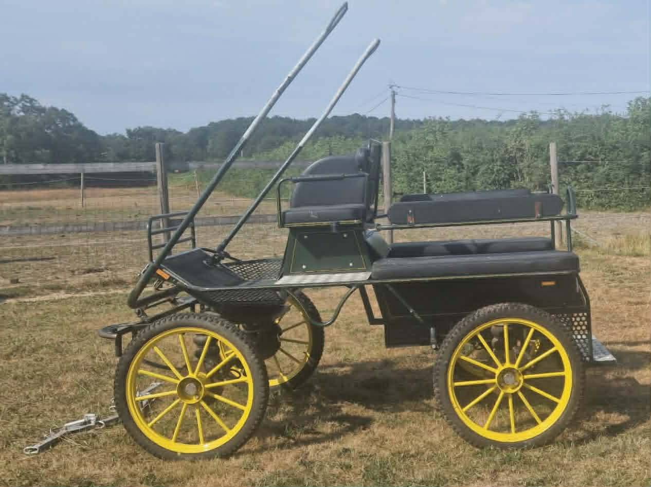 Voiture d'attelage Ginwoski 6 places &ndash; Freins &agrave; disque 