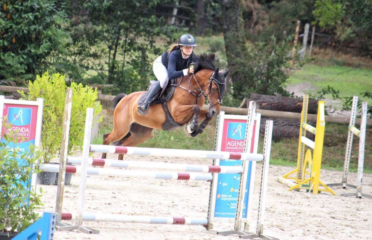 Excellent Poney de Grand prix &agrave; vendre 