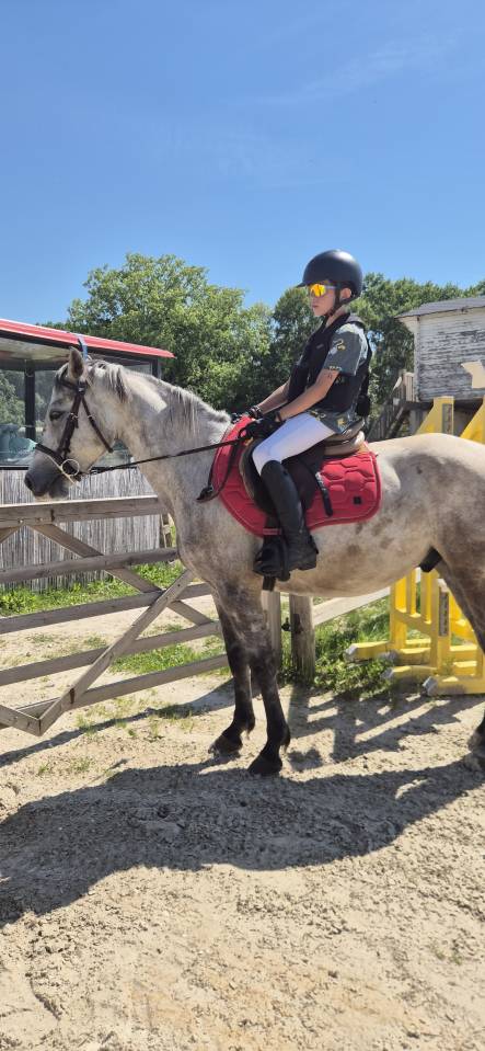 CONNEMARA HONGRE 4 ANS