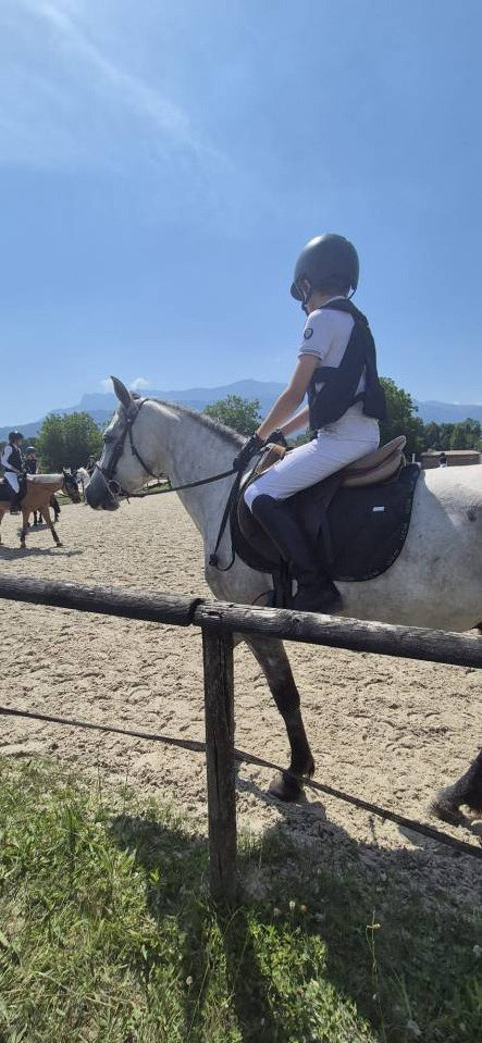 CONNEMARA HONGRE 4 ANS