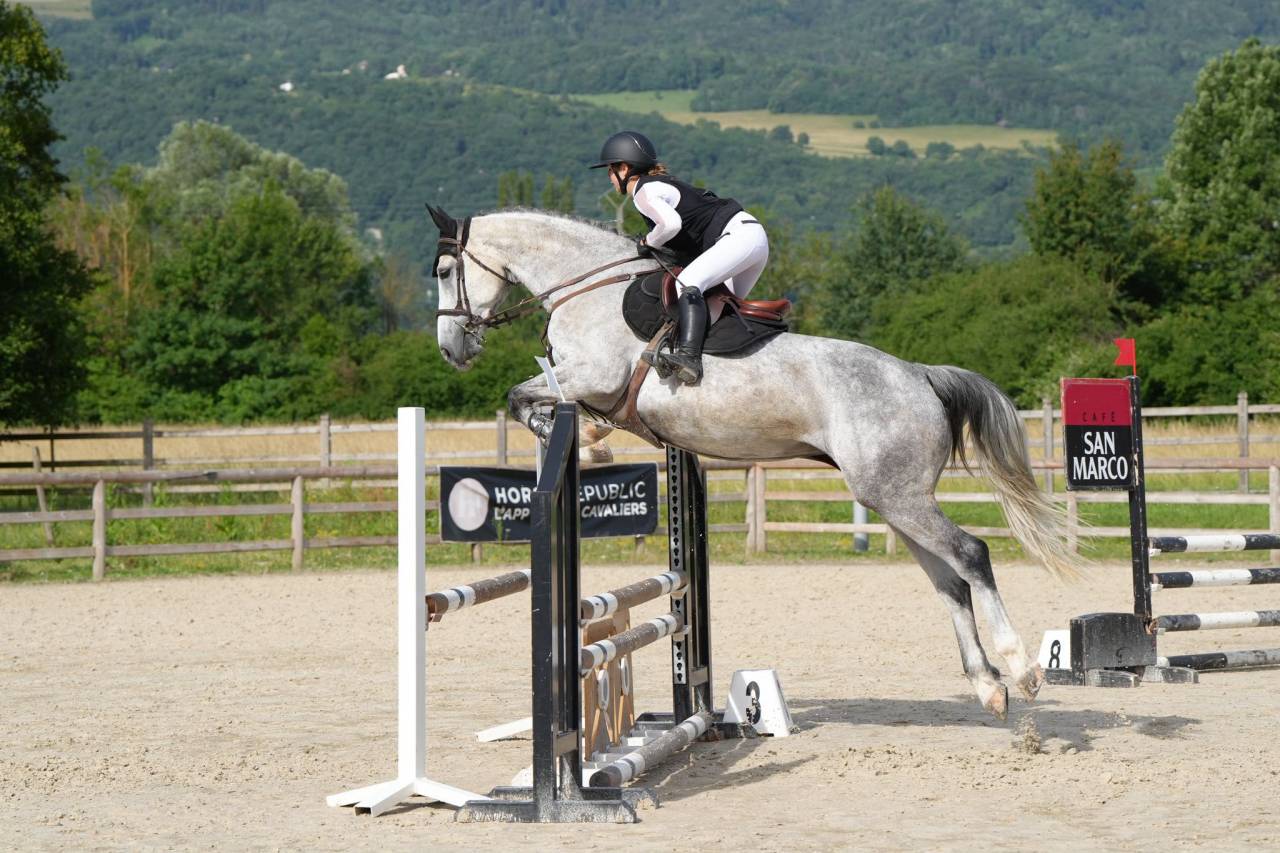 JUMENT DE 6 ANS PAR QUILVARO DE LYR