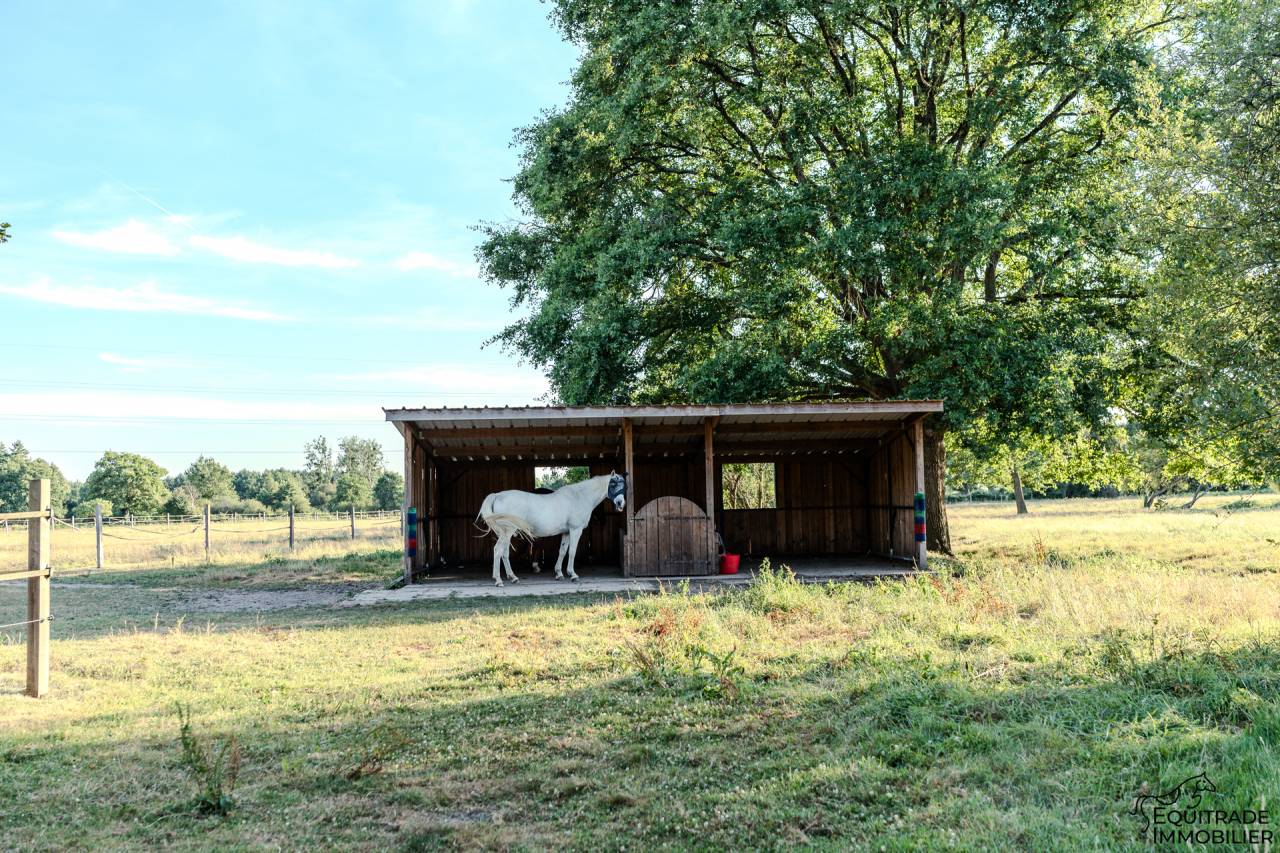 Propri&eacute;t&eacute; 5ha40, deux maisons, prairies