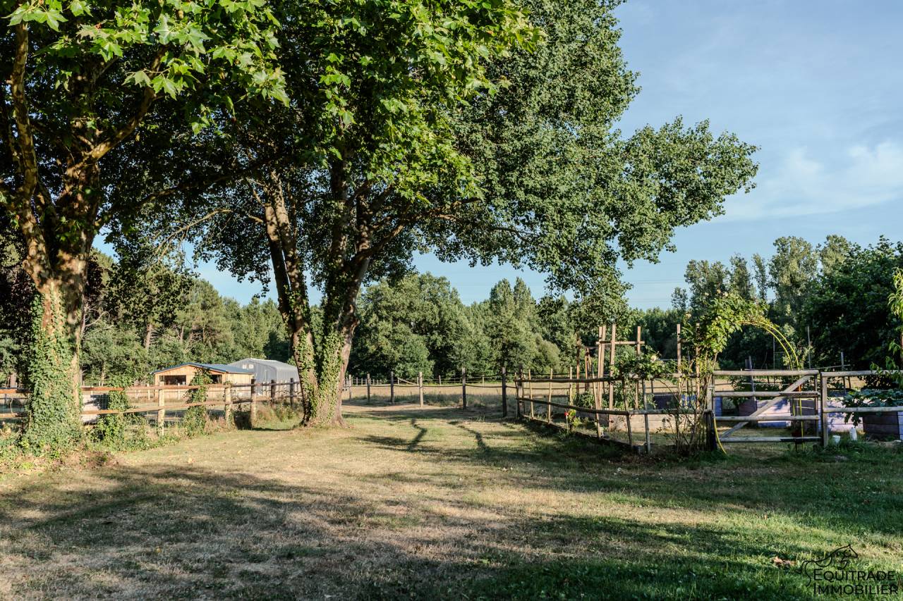 Propri&eacute;t&eacute; 5ha40, deux maisons, prairies