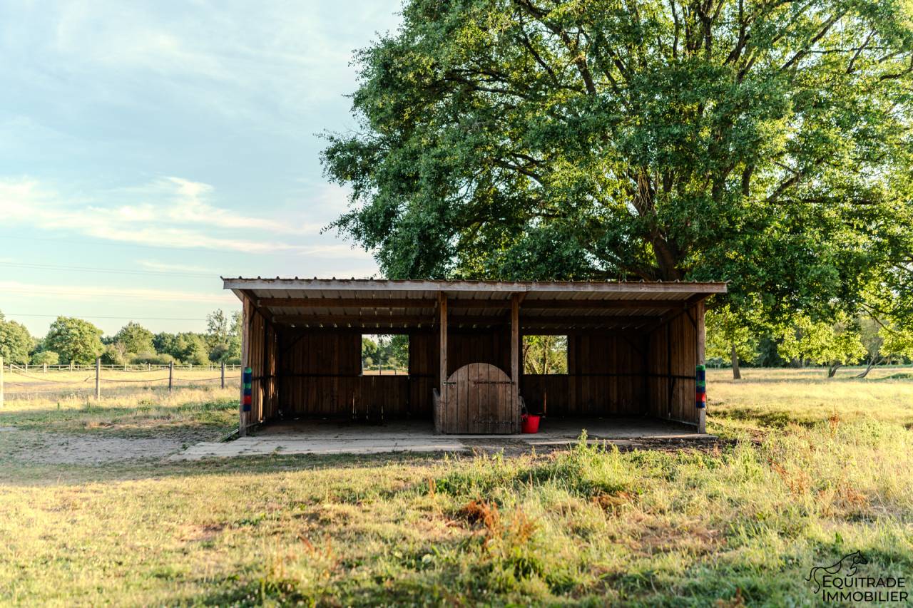 Propri&eacute;t&eacute; 5ha40, deux maisons, prairies