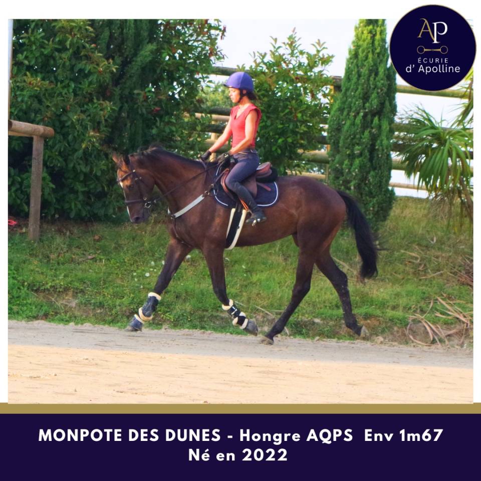 Top AQPS env 1m70 4 ans 