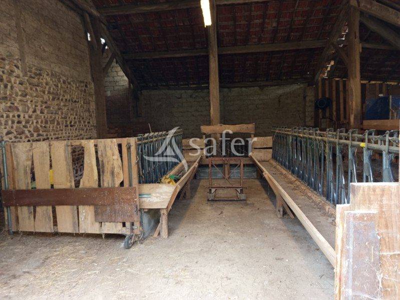 Propri&eacute;t&eacute; d'&eacute;levage et ancien moulin - 13 ha