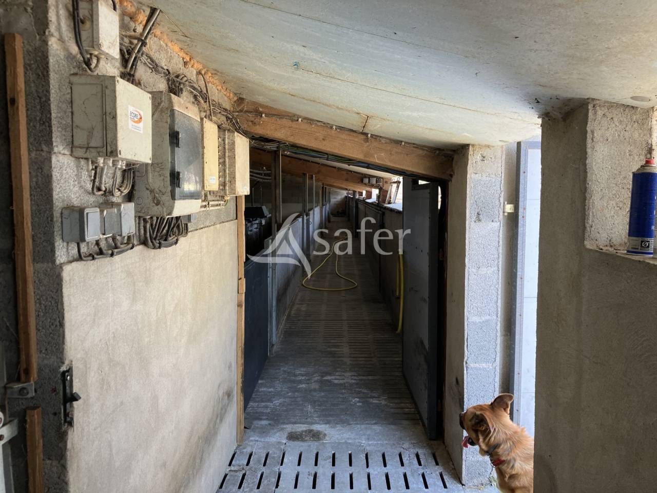 Maison avec b&acirc;timents porcins