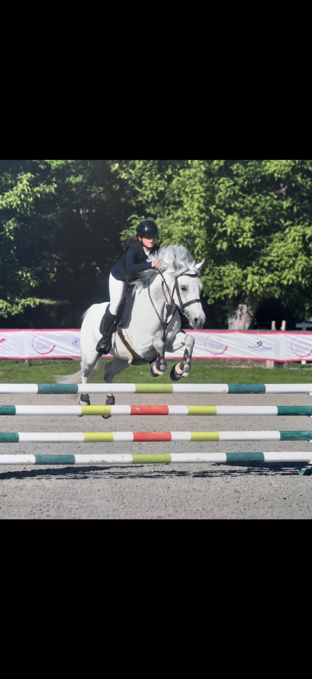 Super ponette de sport Connemara