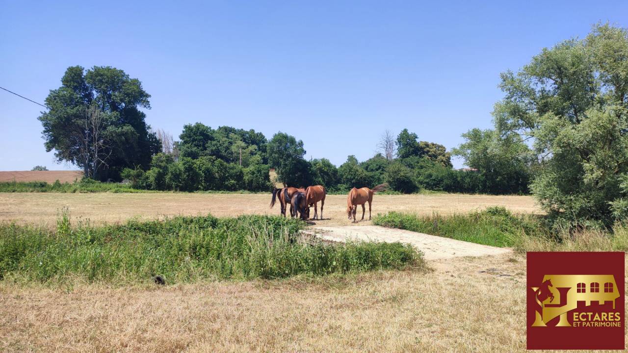 Propri&eacute;t&eacute; &eacute;questre 2,3 hectares