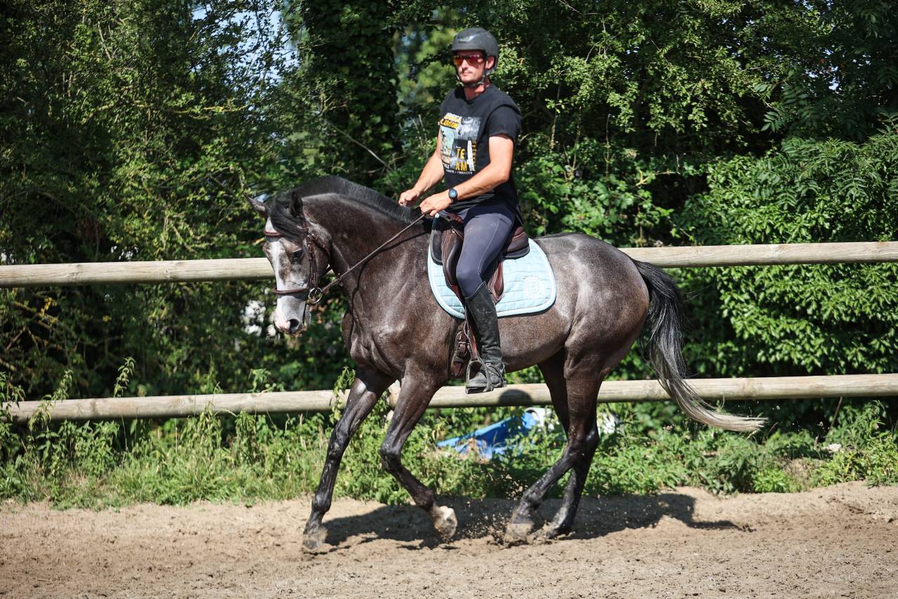 GOLD - 5ans - 1m64