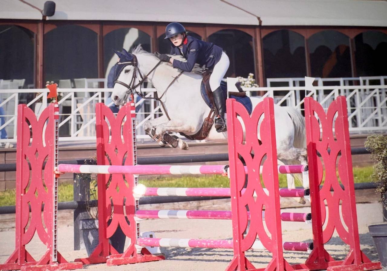 Oise: poney D AS2/AS1 &agrave; vendre 
