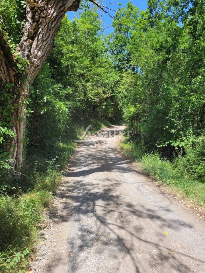 Propri&eacute;t&eacute; rurale de 16 ha avec pr&eacute;s et bois, Hautes Corbi&egrave;re