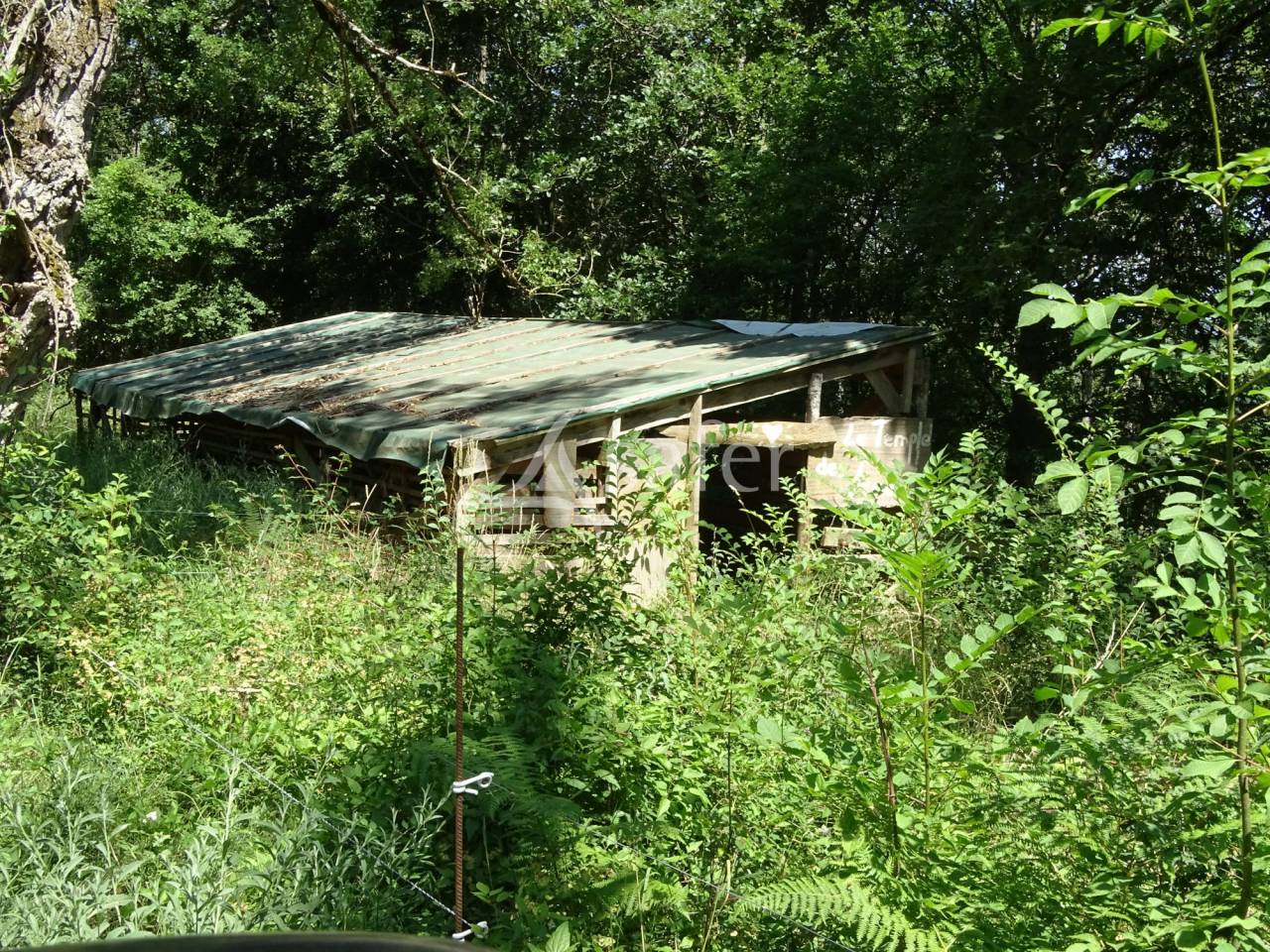 Propri&eacute;t&eacute; rurale de 16 ha avec pr&eacute;s et bois, Hautes Corbi&egrave;re
