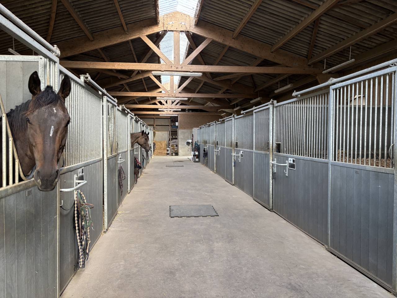 HARAS TR&Egrave;S FONCTIONNEL 45,5 HA