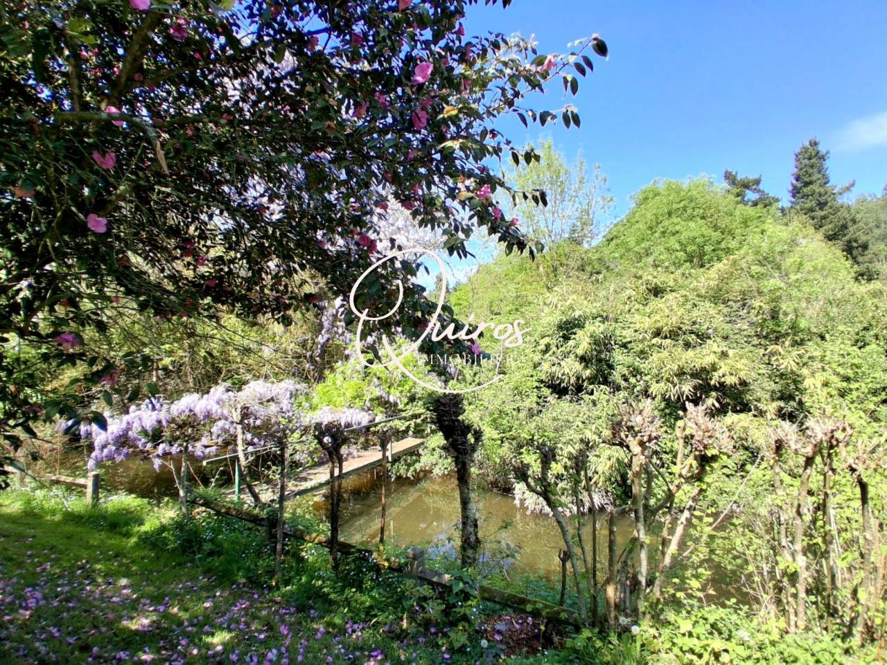 DOMAINE DE CHARME - Le Lion-d'Angers 49- 15 Hectares