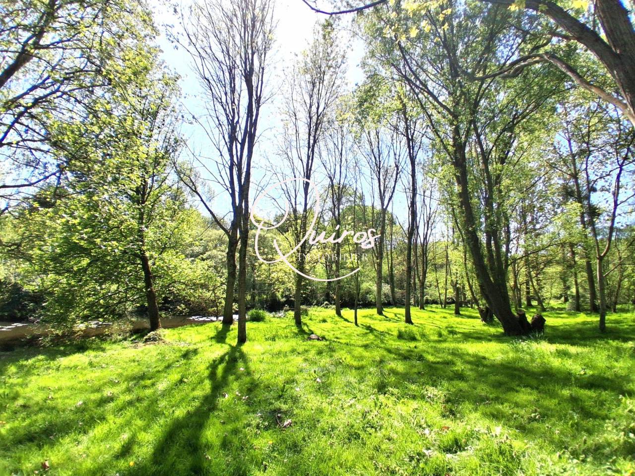 DOMAINE DE CHARME - Le Lion-d'Angers 49- 15 Hectares