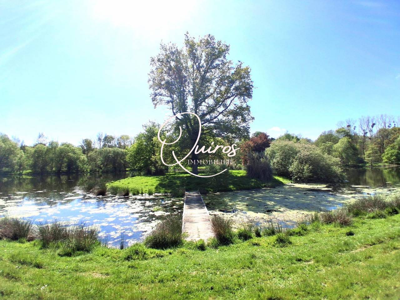 DOMAINE DE CHARME - Le Lion-d'Angers 49- 15 Hectares