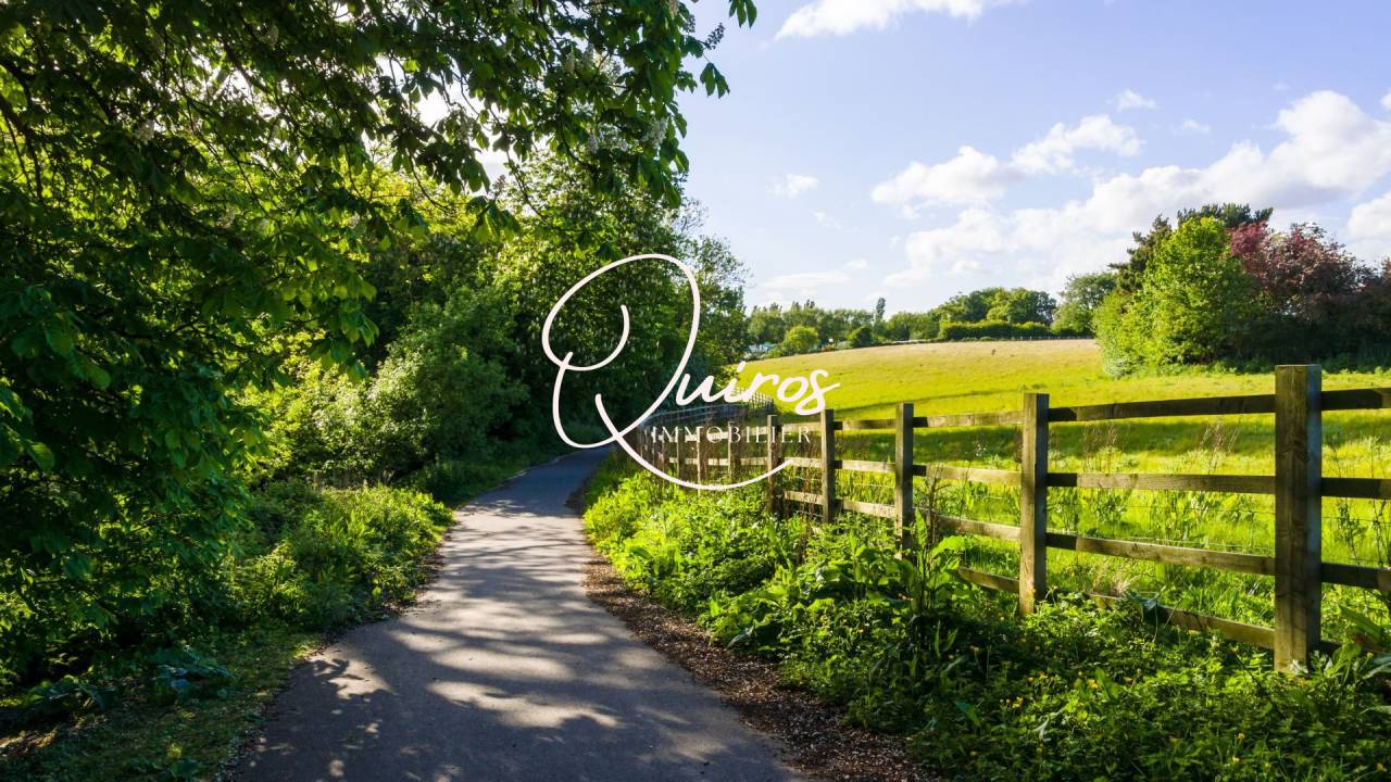 OFF MARKET  Propri&eacute;t&eacute; avec &eacute;tang  Le Lion-d'Angers (4