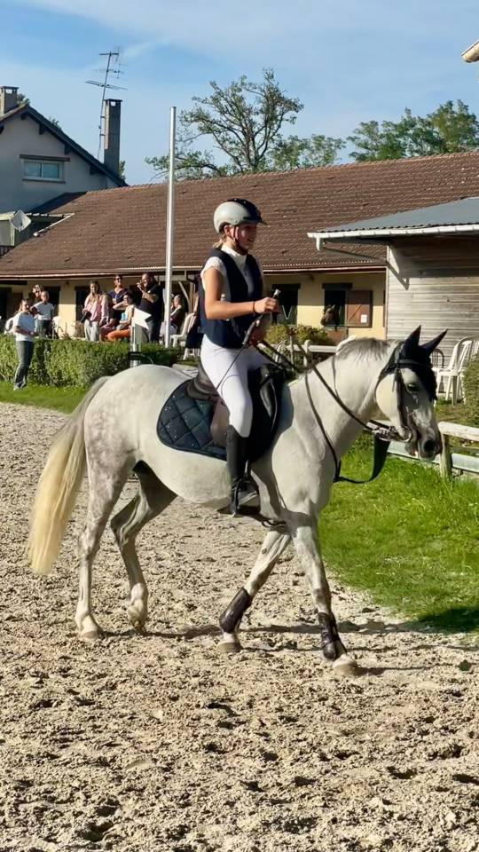 Poney 