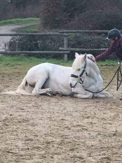 &Agrave; VENDRE : Hawa&iuml; du Peticlaux