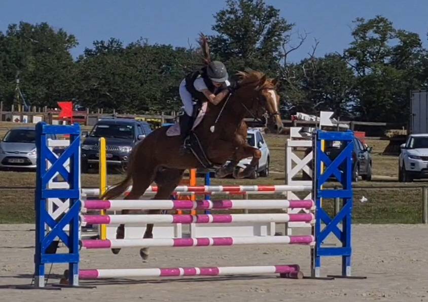 Pouliche par Eye Catcher de Lourcq. CCCE/CSO/DRESSAGE