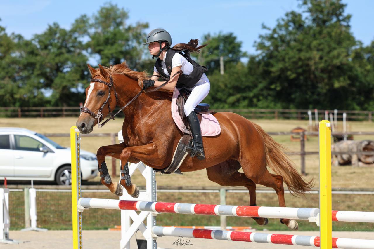 Pouliche par Eye Catcher de Lourcq. CCCE/CSO/DRESSAGE