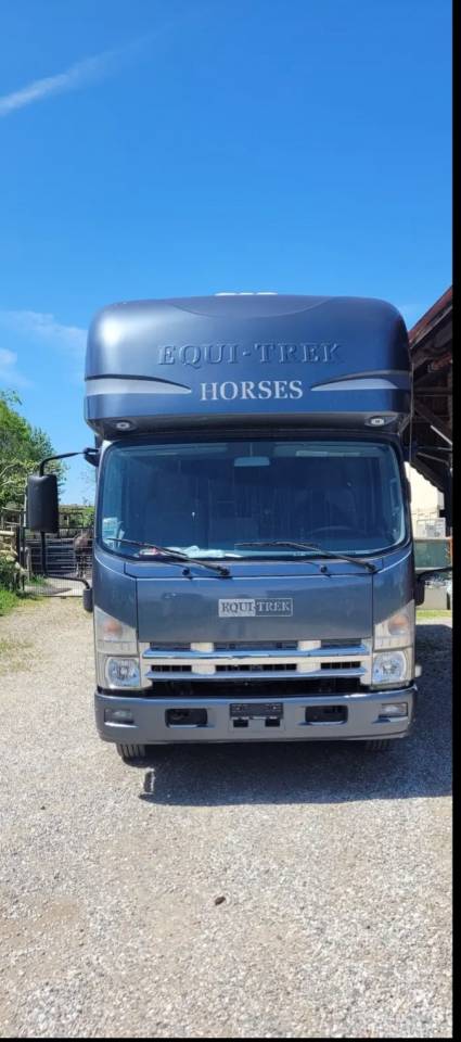 Magnifique &ccedil;amion Isuzu 7,5 tonnes