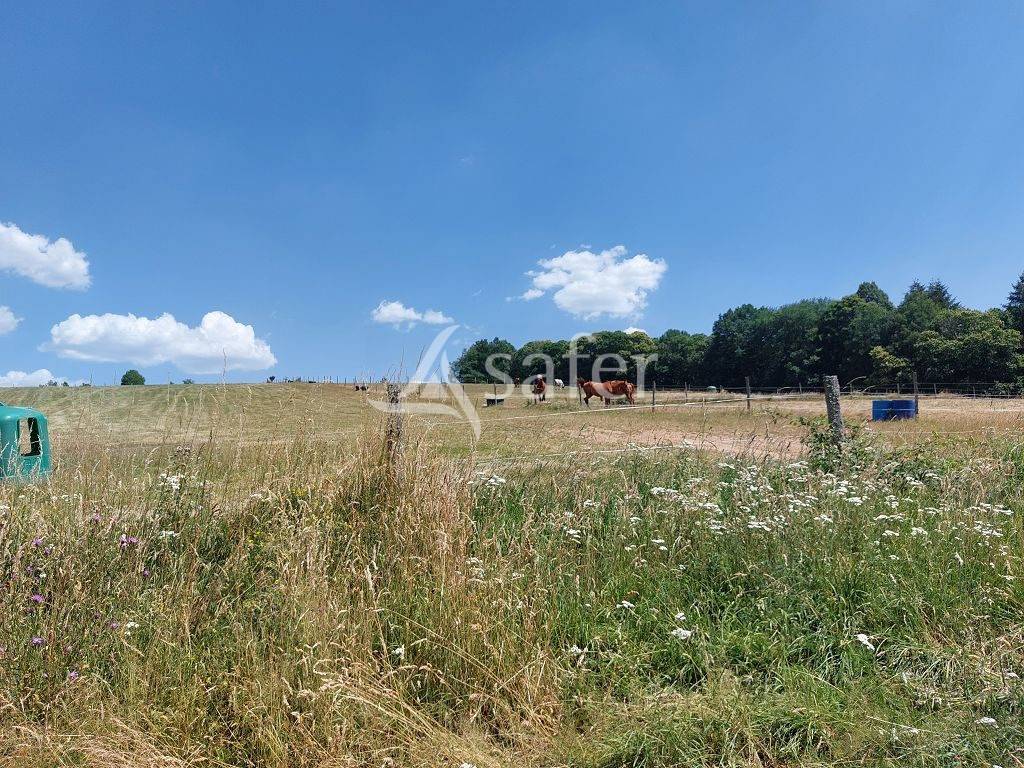 Propri&eacute;t&eacute; agricole d'environ 50 ha dans le Parc Naturel R&eacute;gio