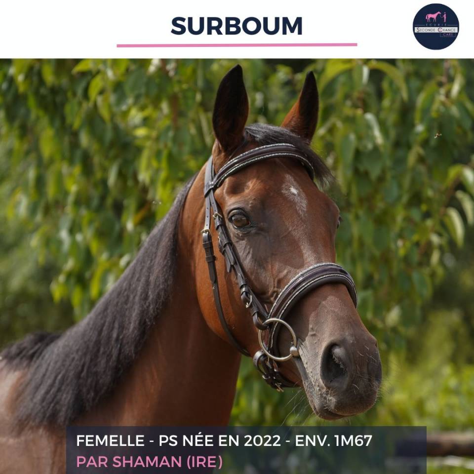 SURBOUM - PS - 4 ANS 