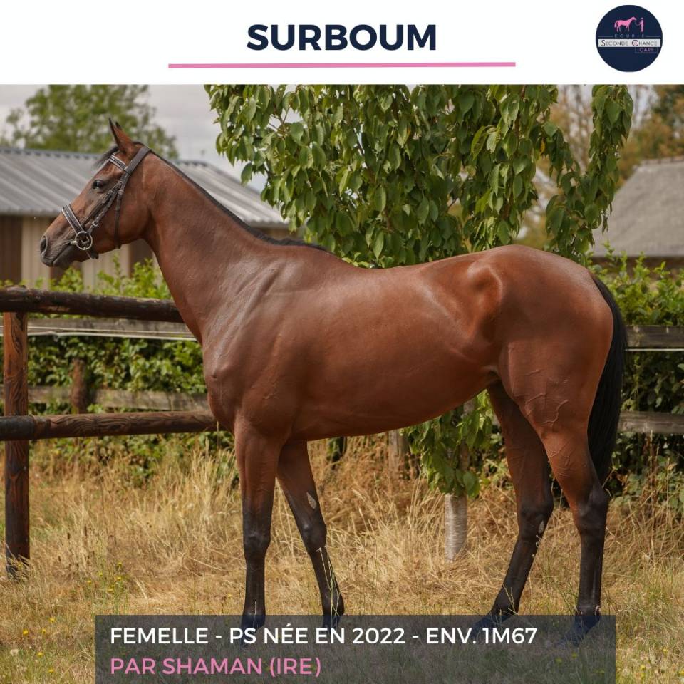 SURBOUM - PS - 4 ANS 