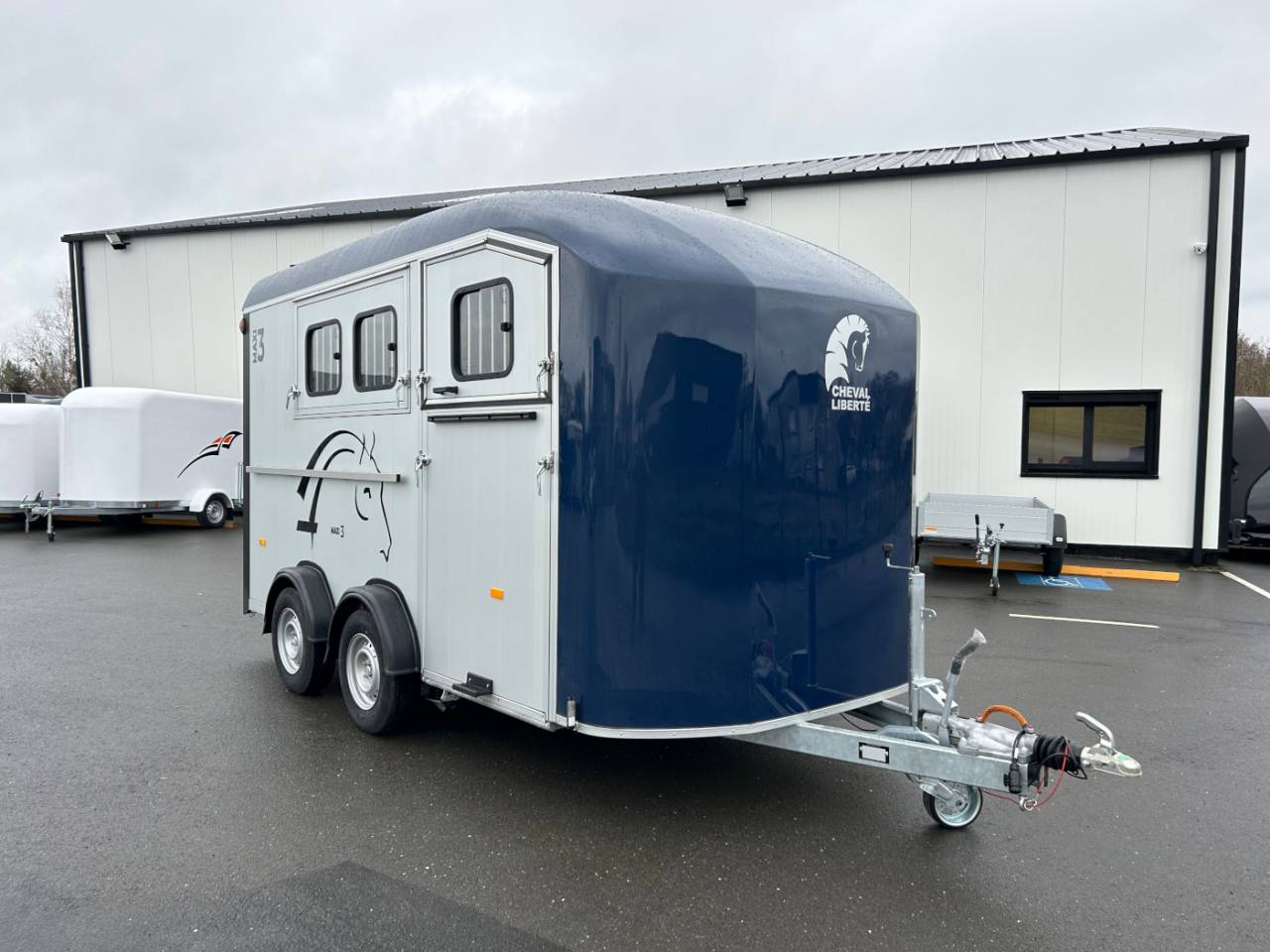 van Cheval Liberte diagonal Maxi 3