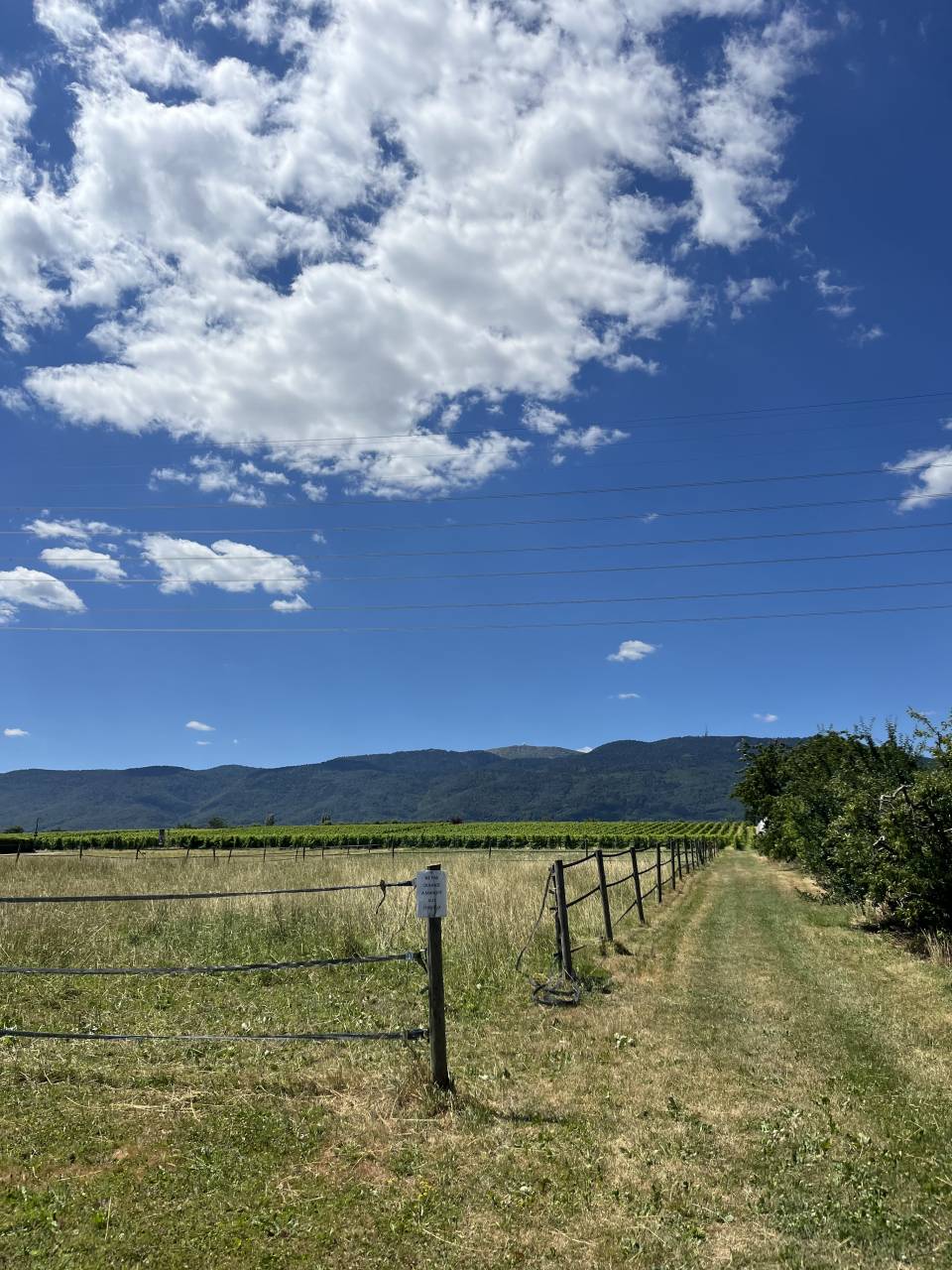 Box &agrave; louer &agrave; Signy / Vaud