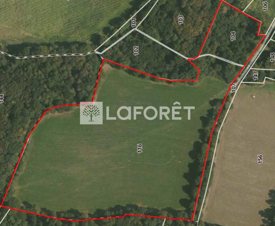 Terrain &agrave; vendre dans la For&ecirc;t de Broc&eacute;liande