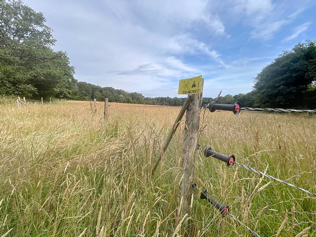 Terrain &agrave; vendre dans la For&ecirc;t de Broc&eacute;liande