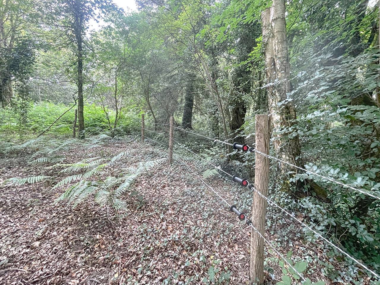 Terrain &agrave; vendre dans la For&ecirc;t de Broc&eacute;liande