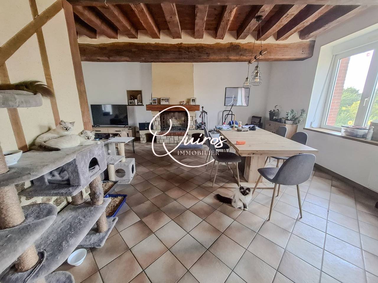 Propri&eacute;t&eacute; &eacute;questre - 2,8 Hectares - Bagnoles-de-l'Orne