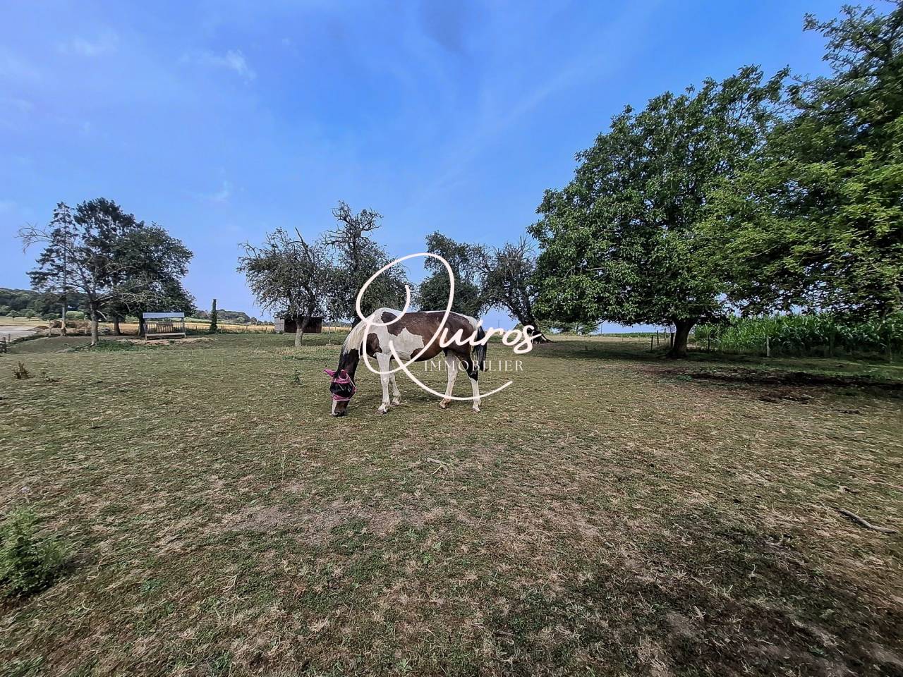 Propri&eacute;t&eacute; &eacute;questre - 2,8 Hectares - Bagnoles-de-l'Orne