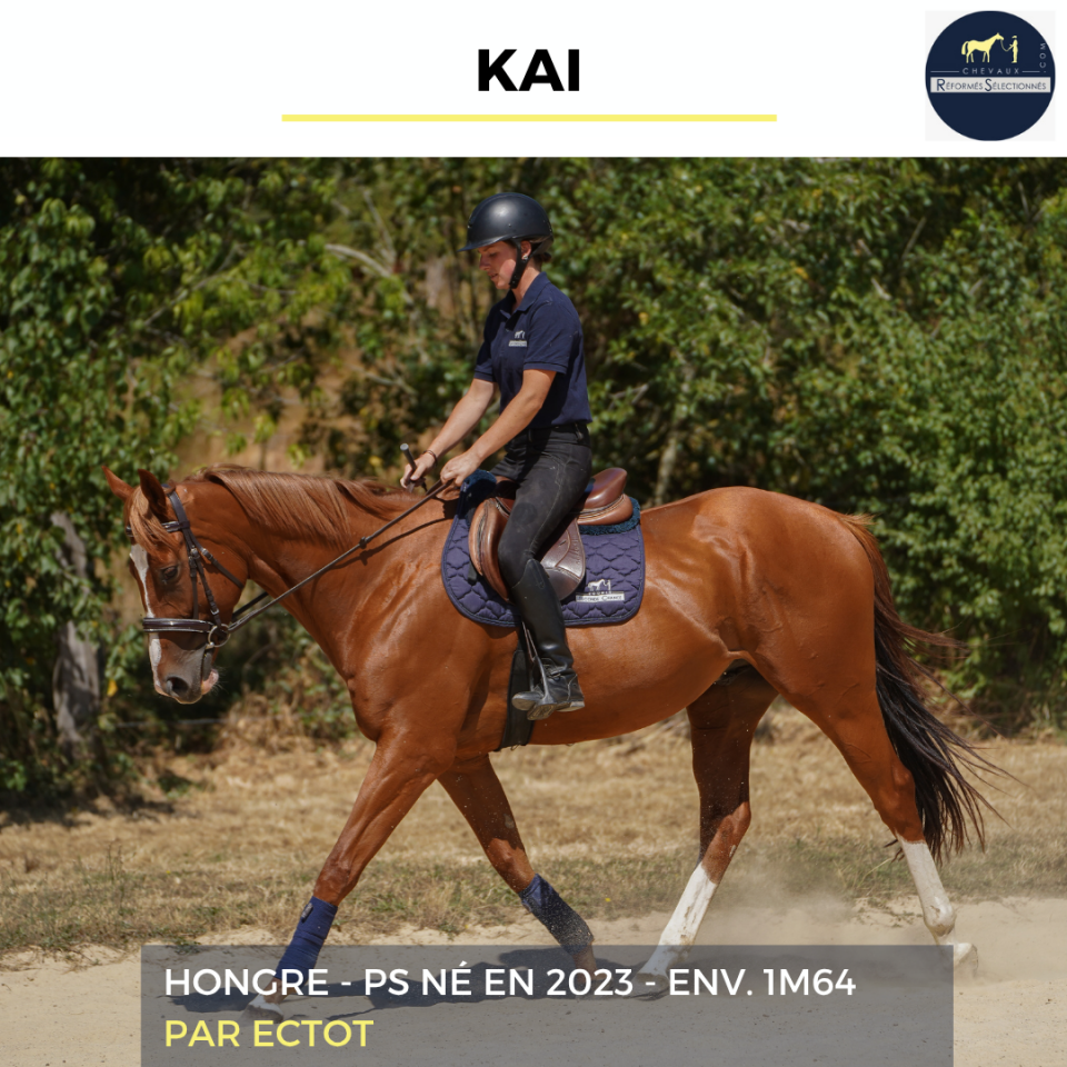 KAI - PS - 3 ANS