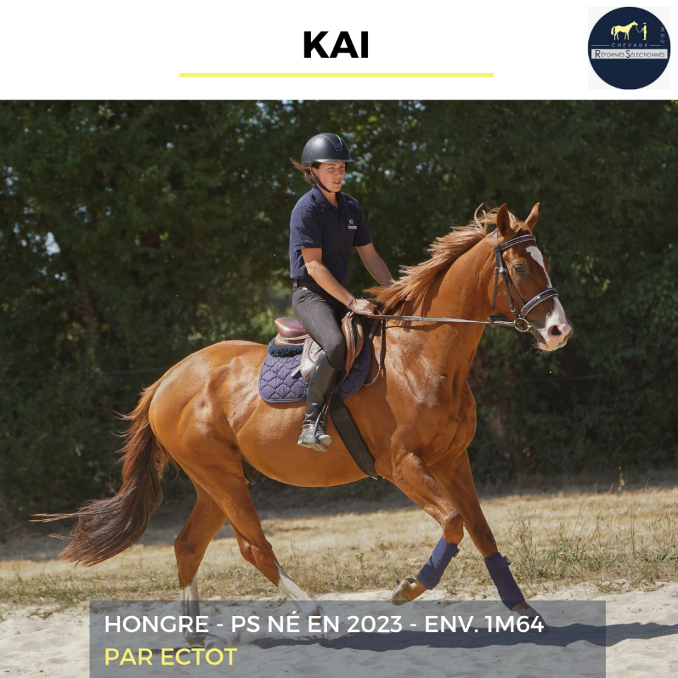 KAI - PS - 3 ANS